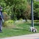A Shanghai resident walks his dog in a residential housing compound during covid-19 lockdown on April 16, 2022.